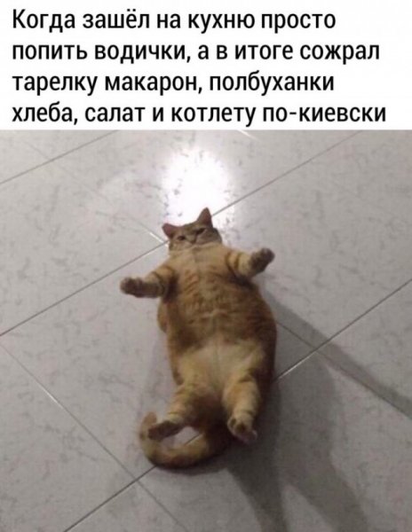Приколы для поднятия настроения