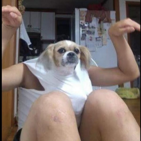 Смешно до слез