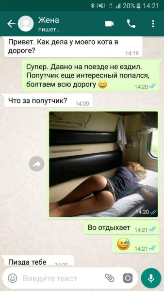 Мемные переписки в ватсапе