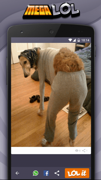 Картинки для WHATSAPP прикольные