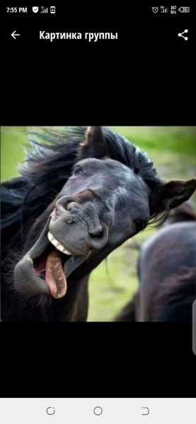 Прикольные картинки с надписями для ватсапа