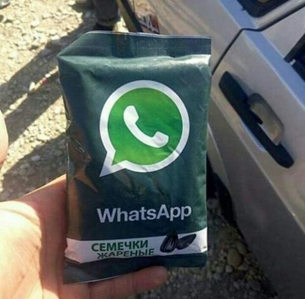 Приколы для группы в ватсапе