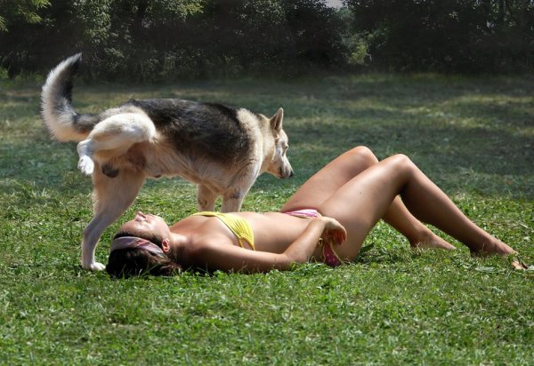 Девушка и собака смешно