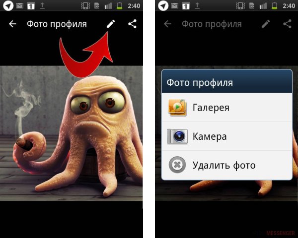 Профиль для ватсапа прикольные