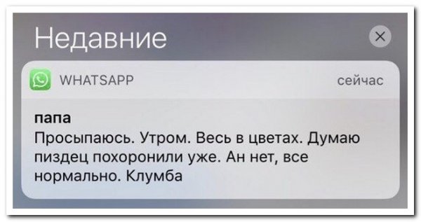 Прикольные статусы в ватсап