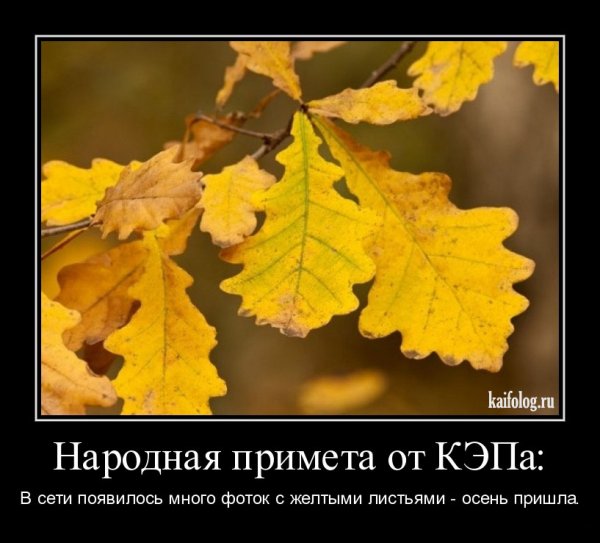 Шутки про осень