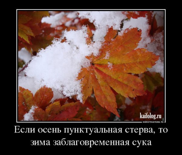 Приколы про осень