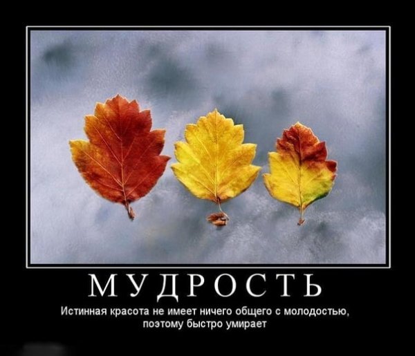 Приколы про осень