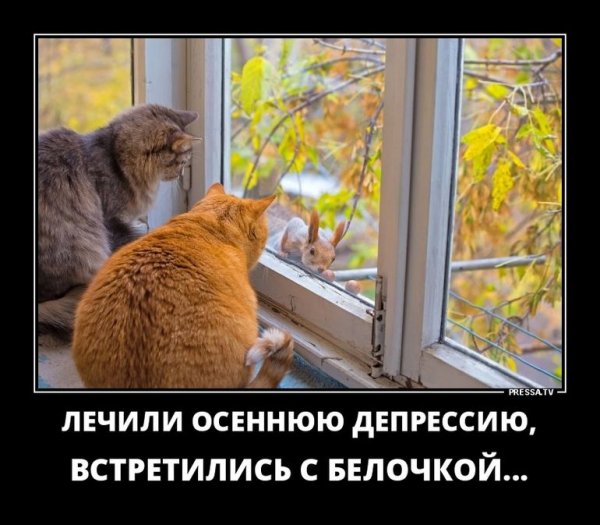 Осенняя депрессия демотиватор
