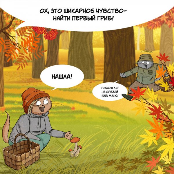 Приколы про осень