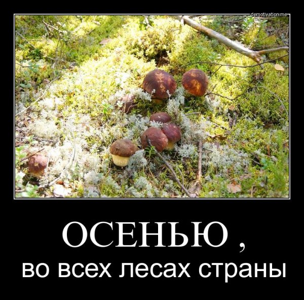 Приколы про осень