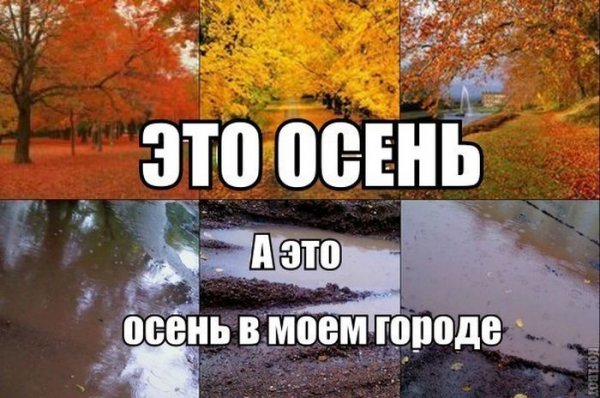Смешные приколы про осень