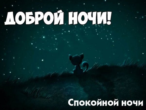 Спокойной ночи картинки прикольные