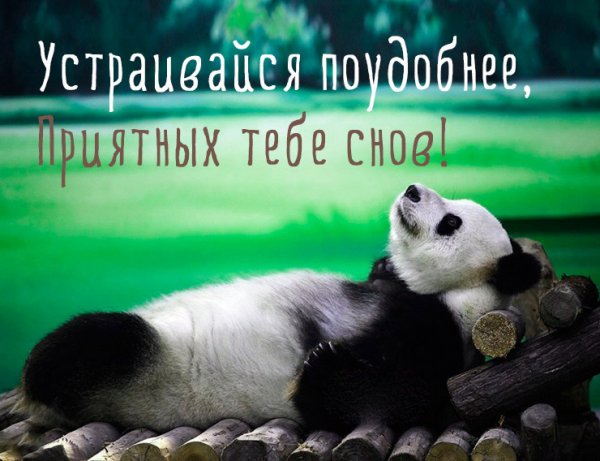 Пожелания спокойной ночи