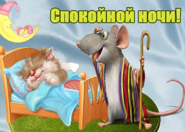 Спокойной ночи прикольные смешные