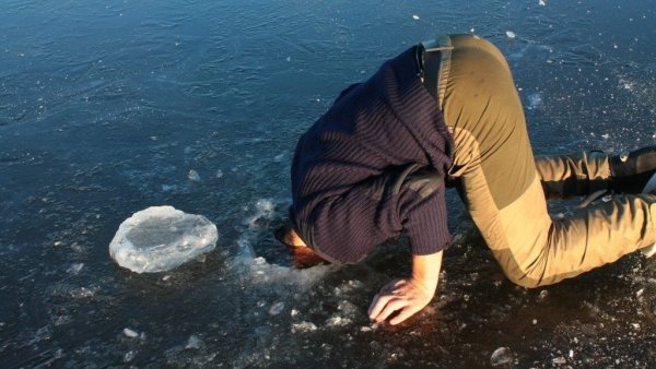 Понедельник демотиваторы смешные