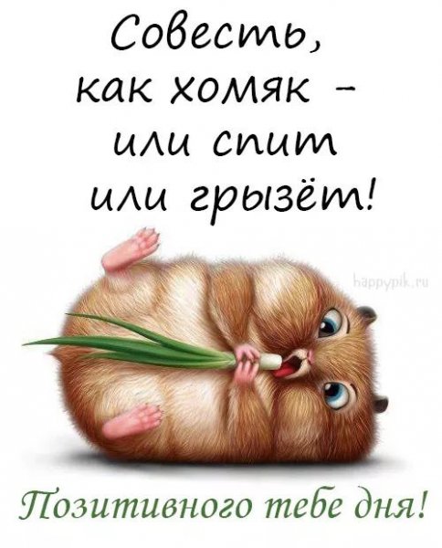 С добрым утром прикол