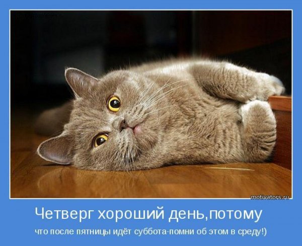 Весёлого четверга картинки