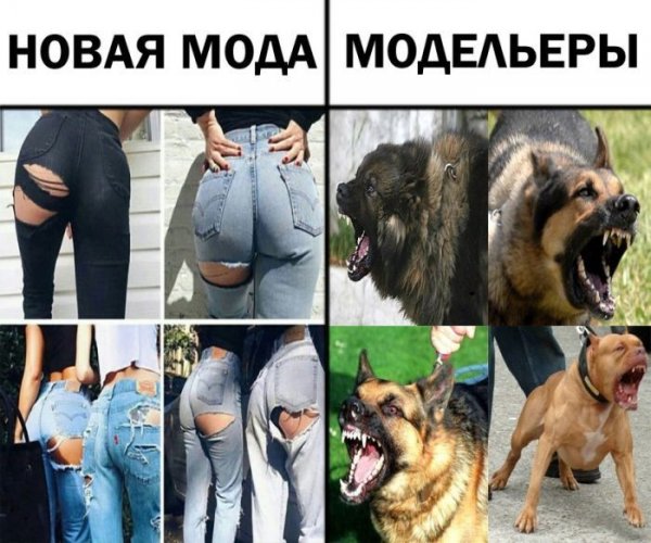 Картинки прикольные смешные