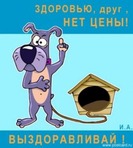Выздоравливай картинки