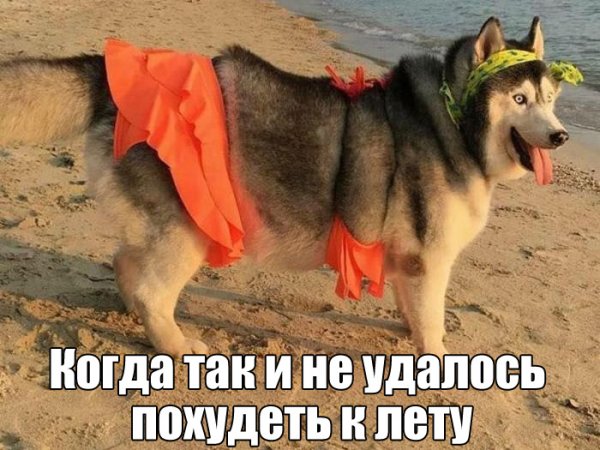 Смешные надписи