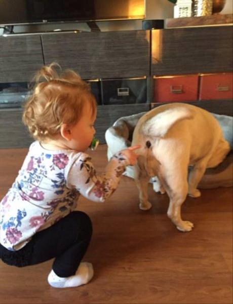 Приколы смешные до слез