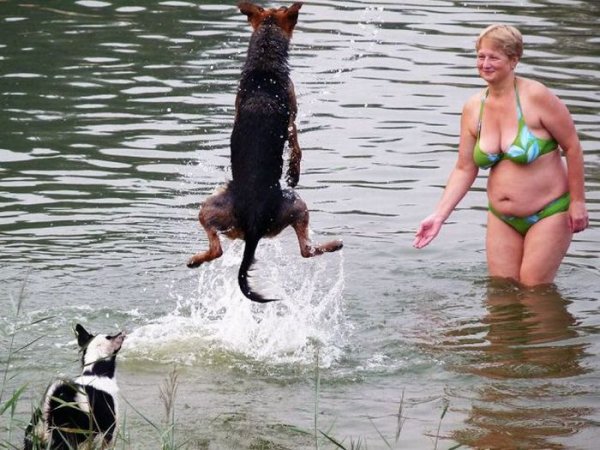 Смешные картинки