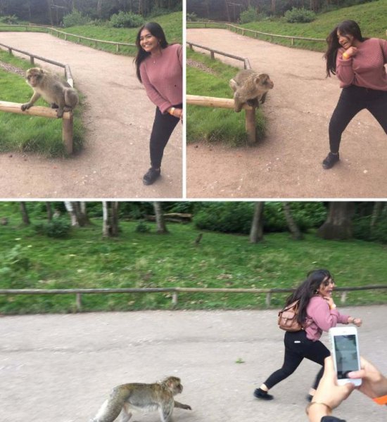 Очень смешные картинки до слёз