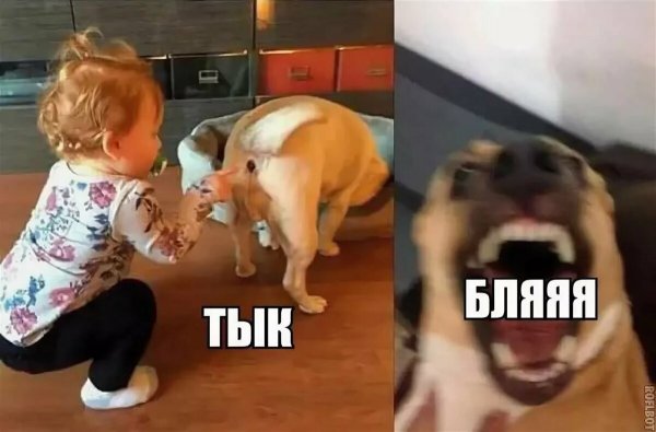 Купаться прикол