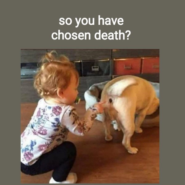 Смешные картинки до слеееез