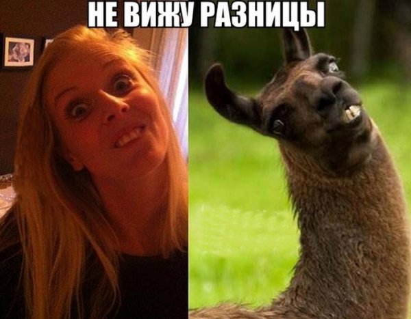 Смешные картинки до слёз про людей юмор