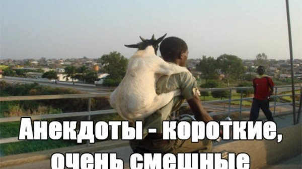 Смешные приколы про людей до слёз