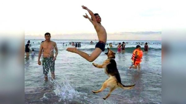 Самые смешные картинки до слез