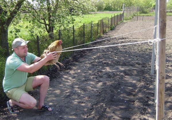 Смешные картинки с надписями