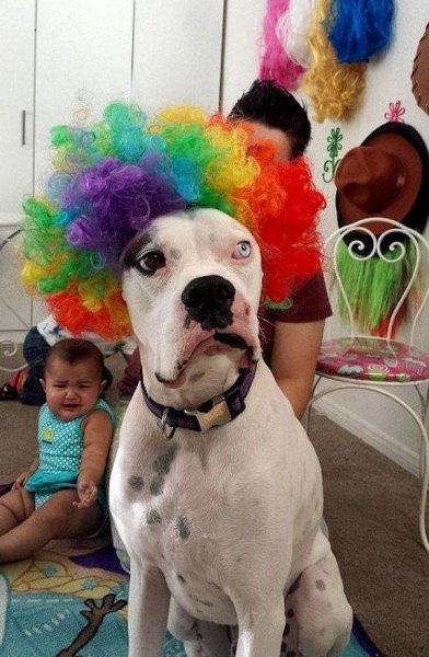 Смешно до слез с надписями