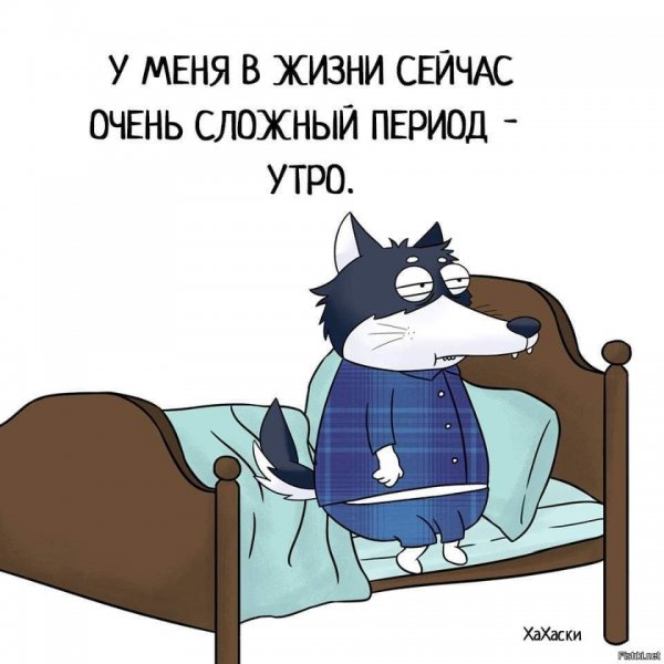 Доброе утро с юмором
