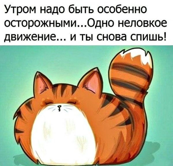 Утренний юмор в картинках