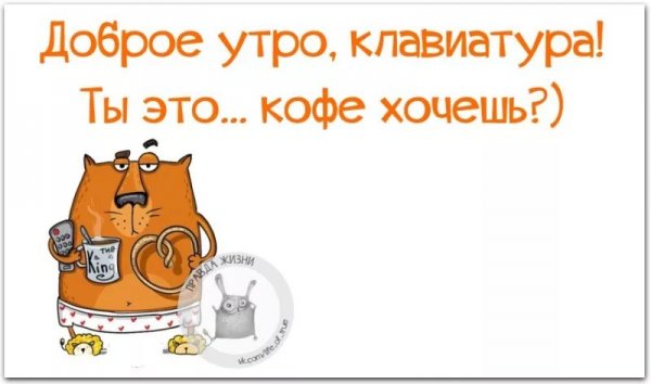 Доброе утро с юмором