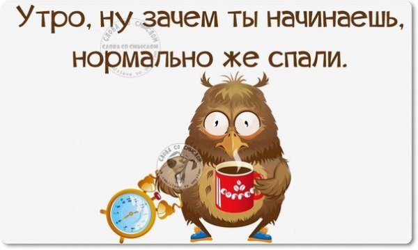 Доброе утро сарказм
