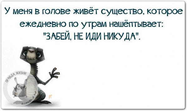Смешные цитаты утром на работу