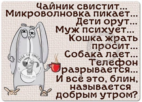 Смешные высказывания с добрым утром