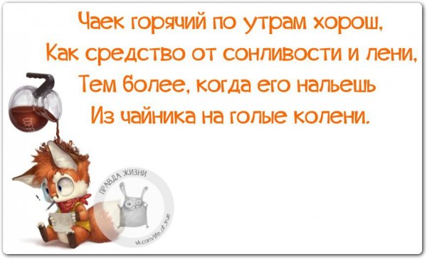 Смешные утренние высказывания
