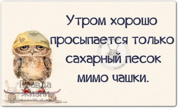 Встала утром цитаты смешные