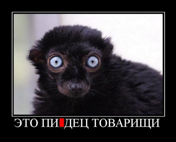 Приколы с матами