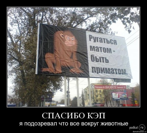 Приколы про матерные слова