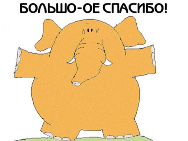 Большое спасибо слон