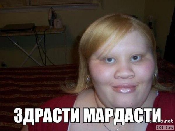 Здрасте мордасте