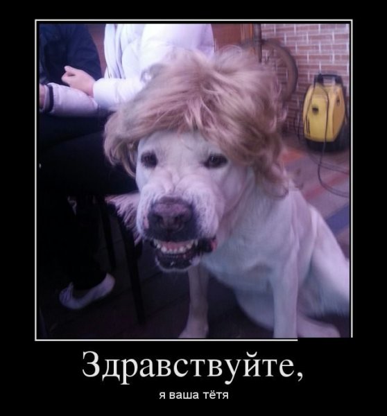 Прикольное Здравствуйте