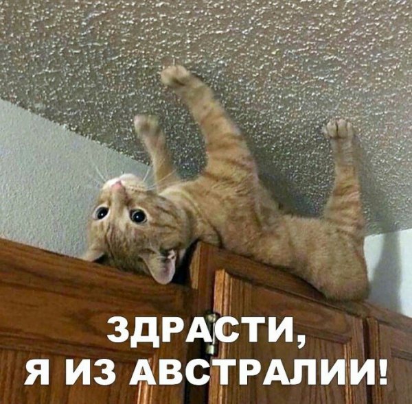 ЗДРАВСИТИ здрасти люди добрые