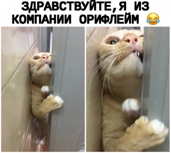 Здравствуйте я из компании Орифлейм прикол